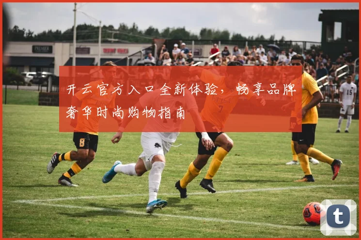 开云官方入口全新体验，畅享品牌奢华时尚购物指南