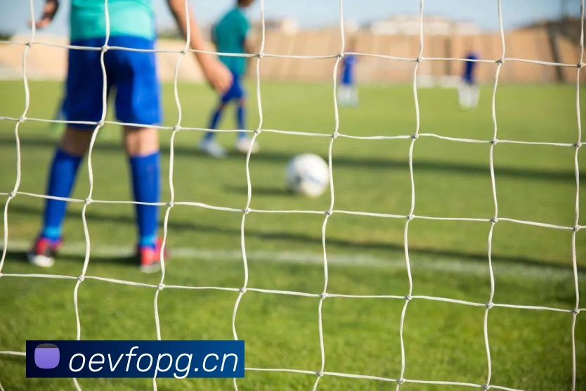 开云官网APP 封面图